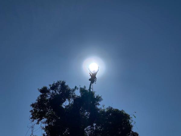 Valley Tree Care