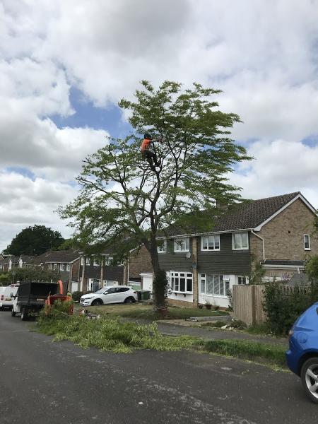 Valley Tree Care