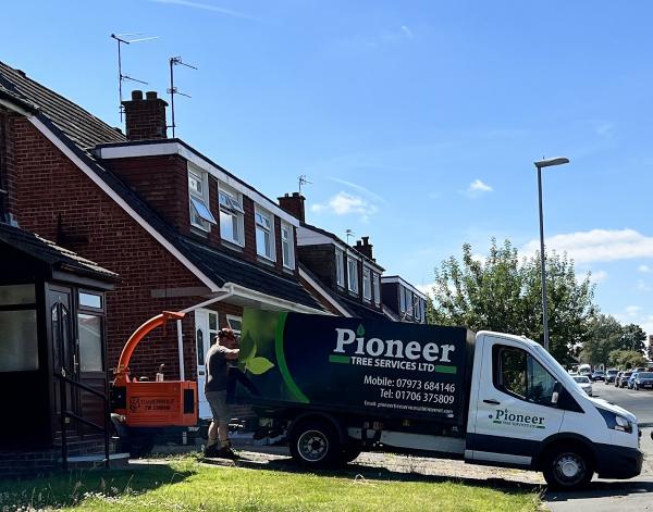Pioneer Tree Services Ltd