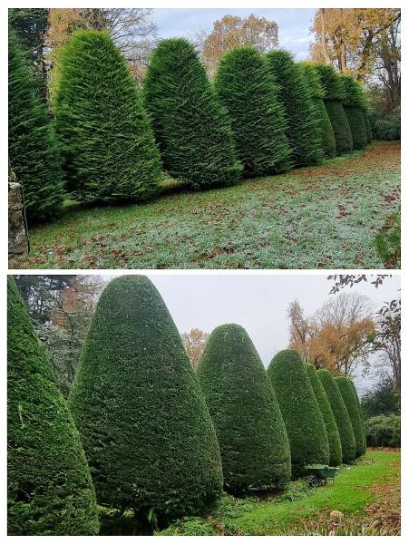 RL Garden & Landscaping Services