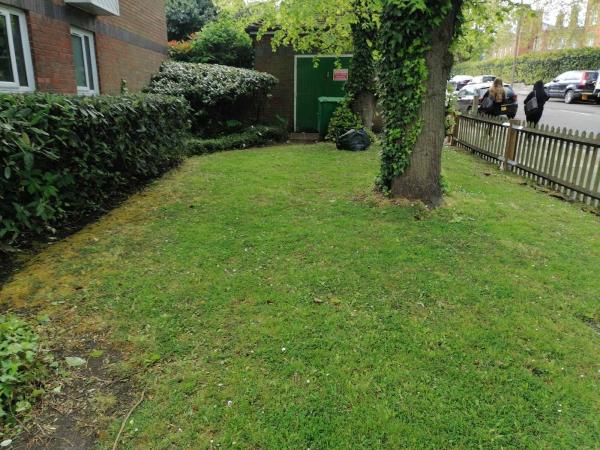 Garden Service Green Solution Bg