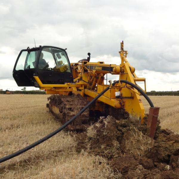 Roger Holloway & Sons