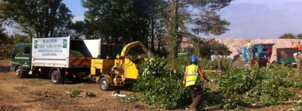 Blagdon Tree Surgeons