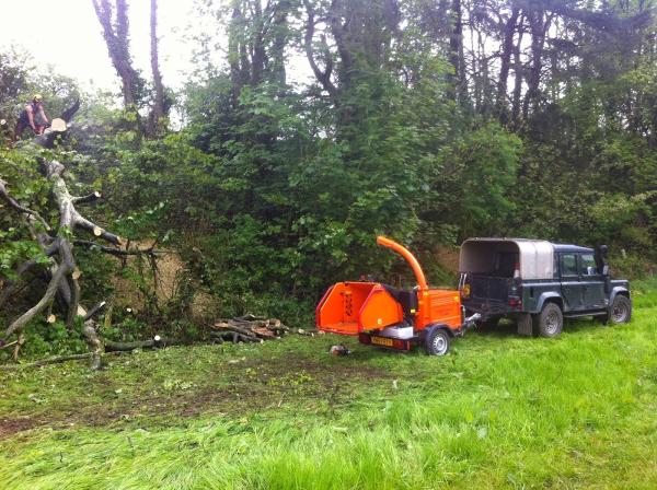 Blagdon Tree Surgeons