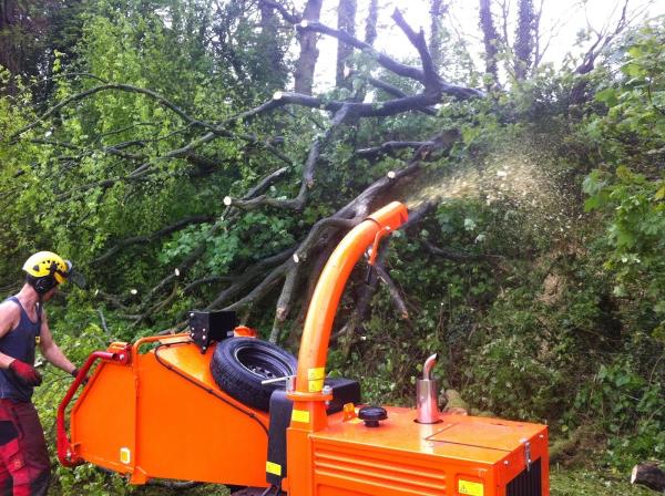 Blagdon Tree Surgeons