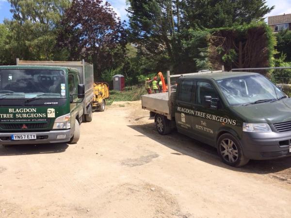 Blagdon Tree Surgeons