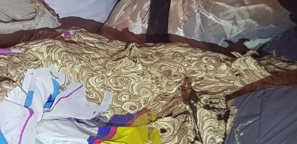 Yorkshire Pest Control