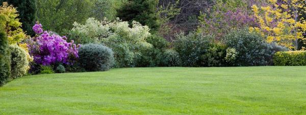 Luxe Landscape Gardeners Hereford