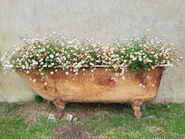 Chris Rose Gardening and Design