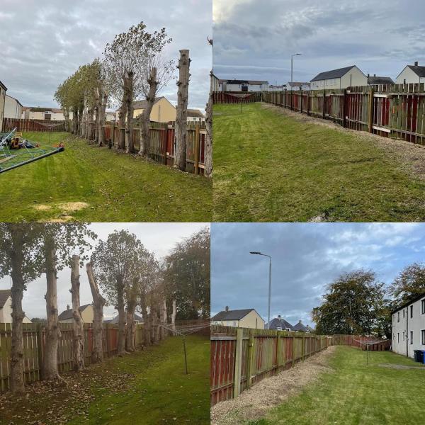 West Coast Tree Surgeons