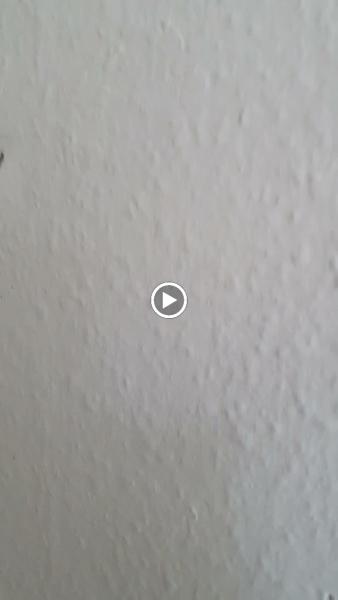 Peskys Pest Control Rotherham