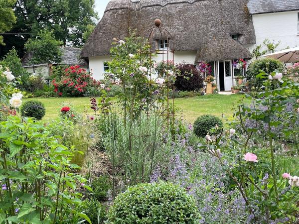 Susanne Boswell Garden Design