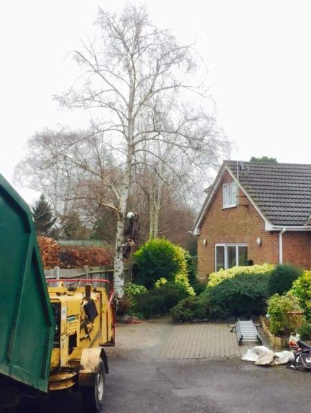 Priority Tree Services Ltd