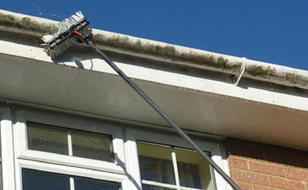 C-Thru Window Cleaning Services