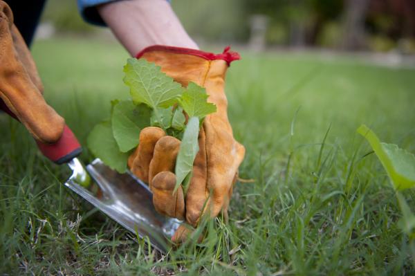 Stroud Grounds Maintenance