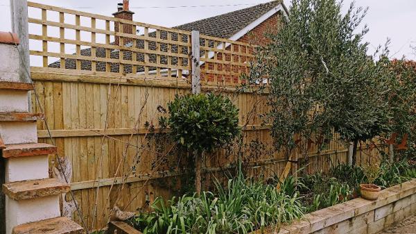 Norwich Fencing and Landscaping