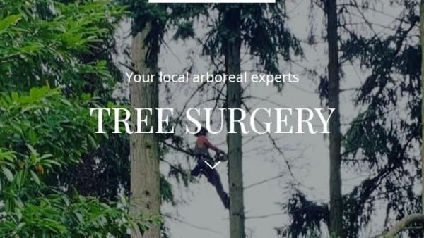 Ethan J Watkins Forest & Arb