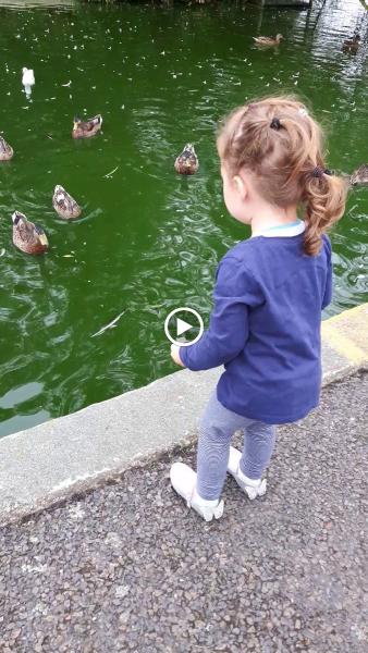 Radbury Double Glazing Ltd