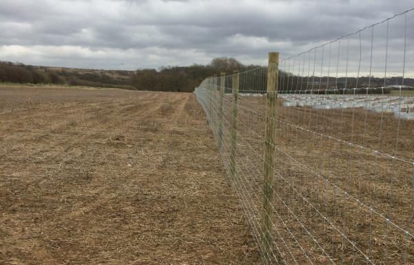 Land Wide UK Ltd