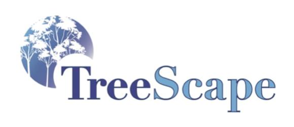 Treescape Tree Surgery