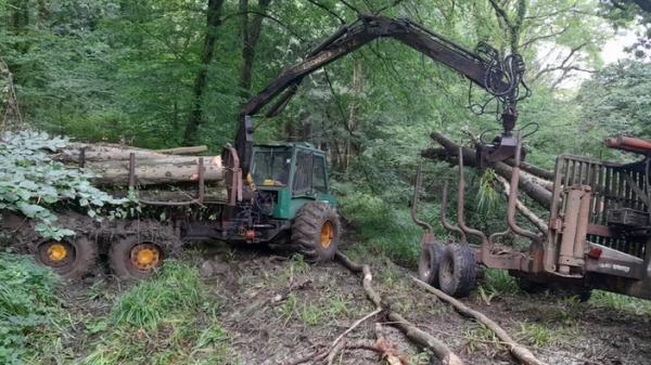 Westhill Forestry & Tree Services