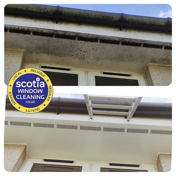 Scotia Window Cleaning