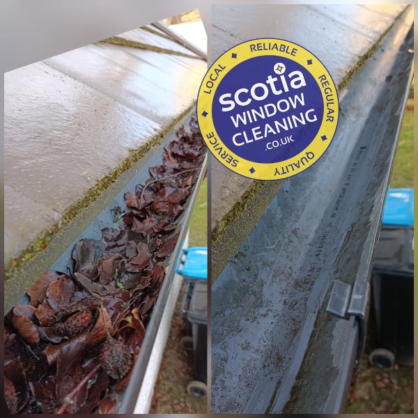 Scotia Window Cleaning