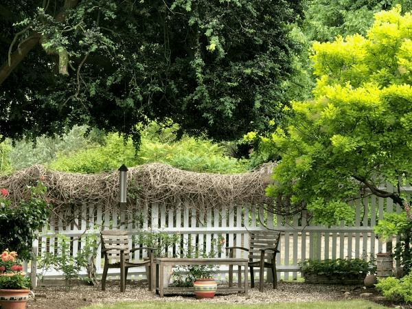 Garden Tidy by Sarah