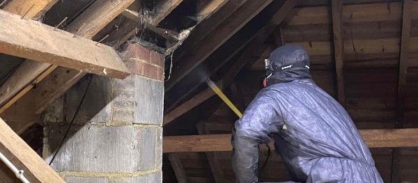Sussex Specialist Woodworm Treatments