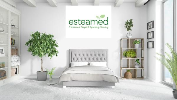 Esteamed Professional Carpet & Upholstery Cleaning