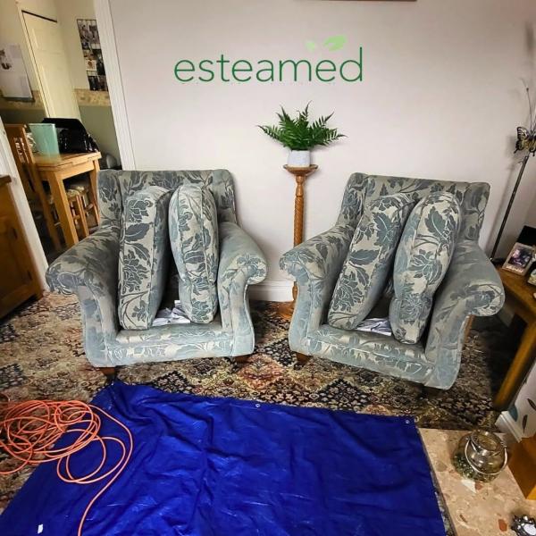 Esteamed Professional Carpet & Upholstery Cleaning