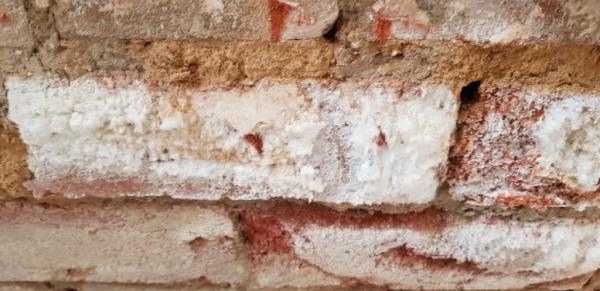 Paul Newman Damp Proofing