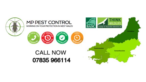 MP Pest Control West Wales