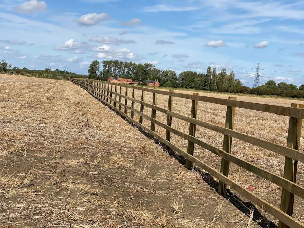 Vale Tree and Fencing Nottingham