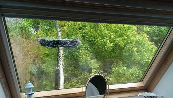 North Norfolk Window Cleaning
