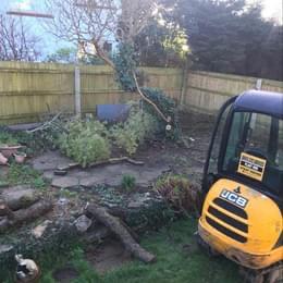 Viking Tree Care Dorset