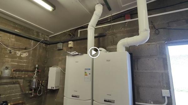 Whitehaven Gas & Plumbing