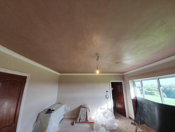 Davenport Plastering