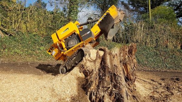 Stump Out Tree Care