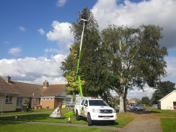 Stump Out Tree Care