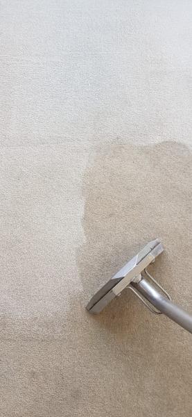 Elite Carpet and Cleaning Services Ltd