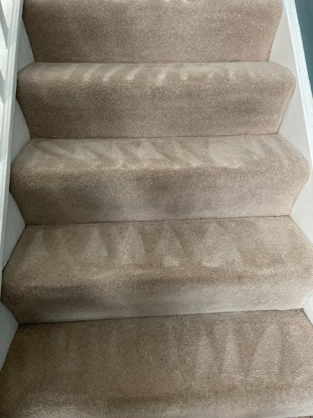 Elite Carpet and Cleaning Services Ltd