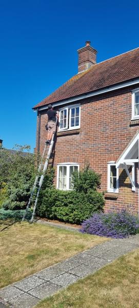 Boomerang Window Cleaning Services