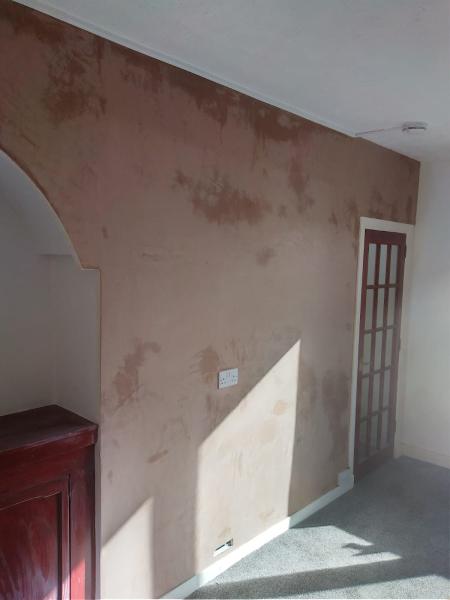 Taylored Plastering Services