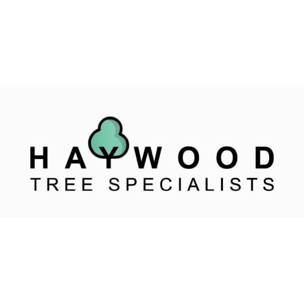 Haywood Tree Specialists