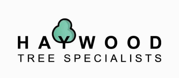 Haywood Tree Specialists