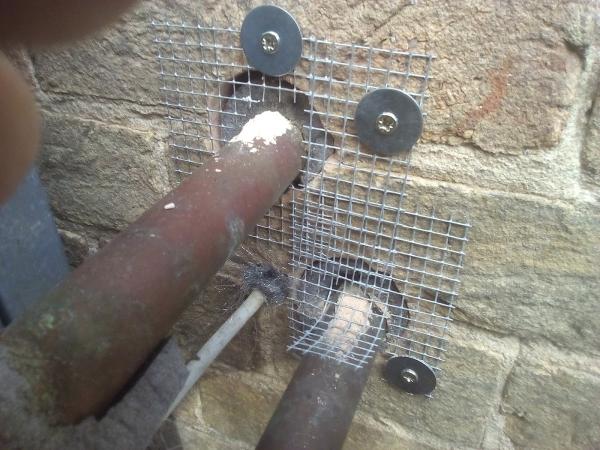 Pest Rangers Pest Services a Non For Profit Company