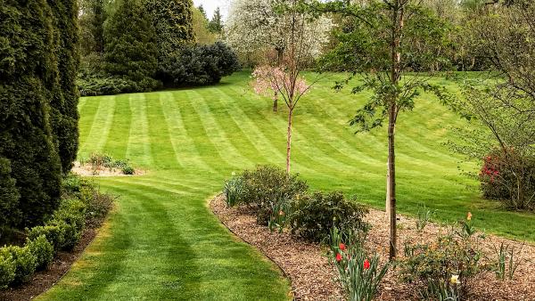 CM Landscaping & Garden Care Ltd