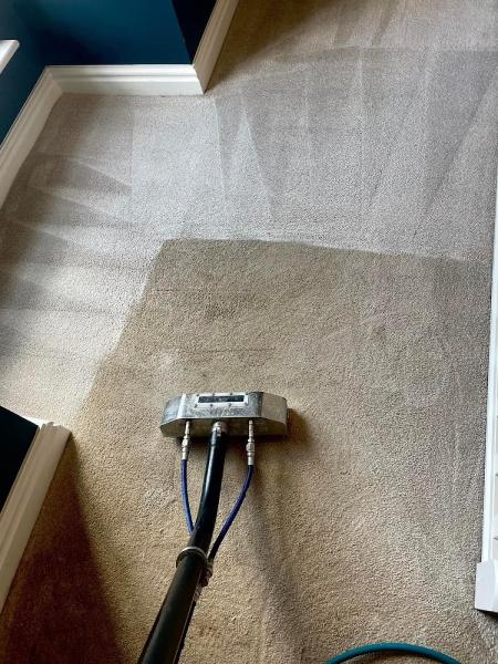 Transform Carpet Cleaning