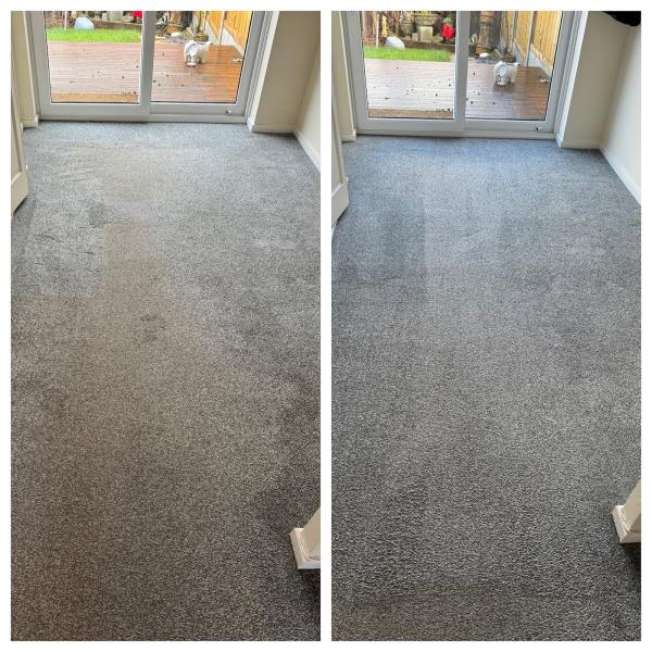 Carpet Cleaning Co